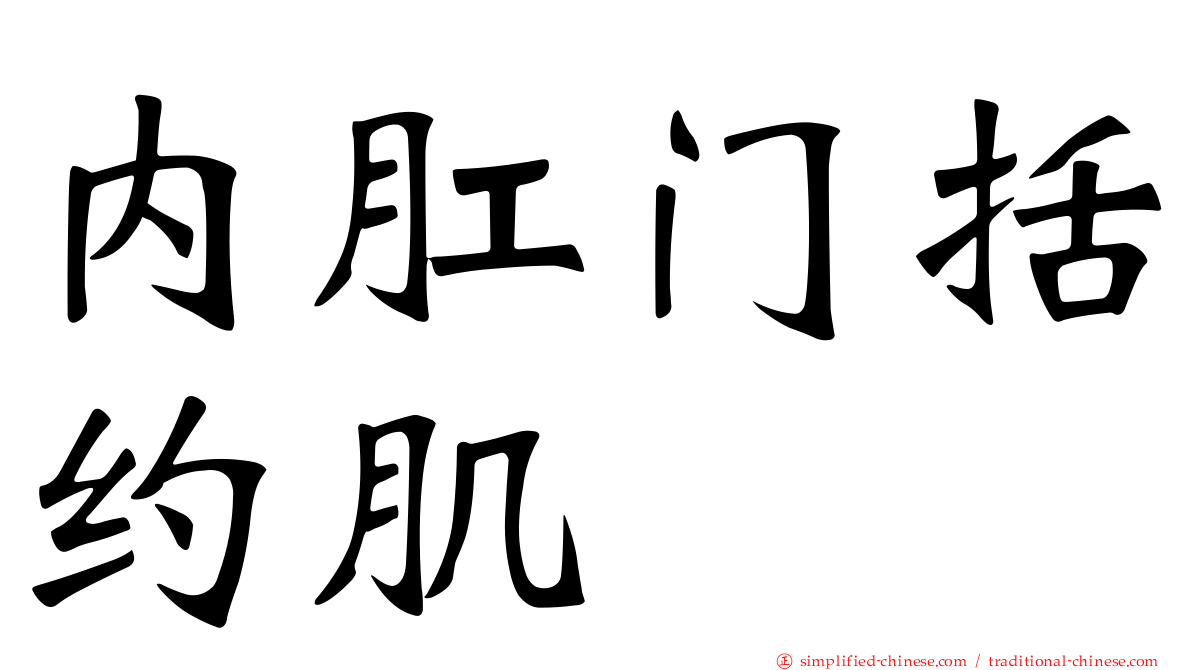 内肛门括约肌