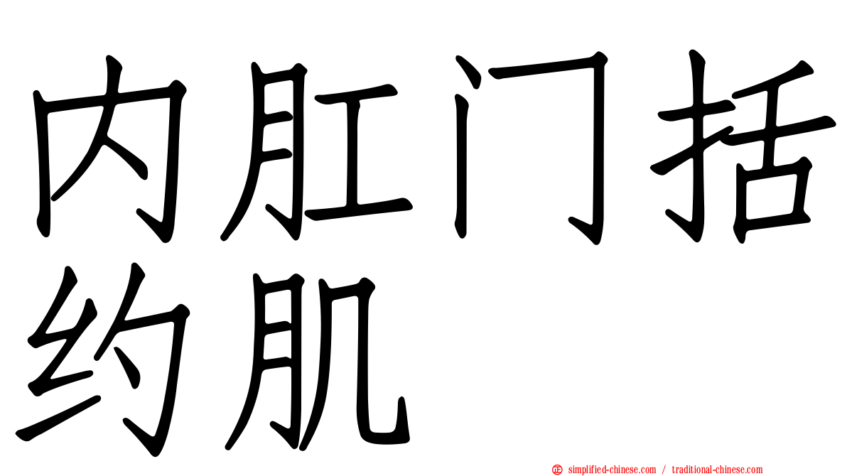 内肛门括约肌