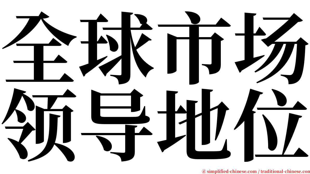全球市场领导地位 serif font