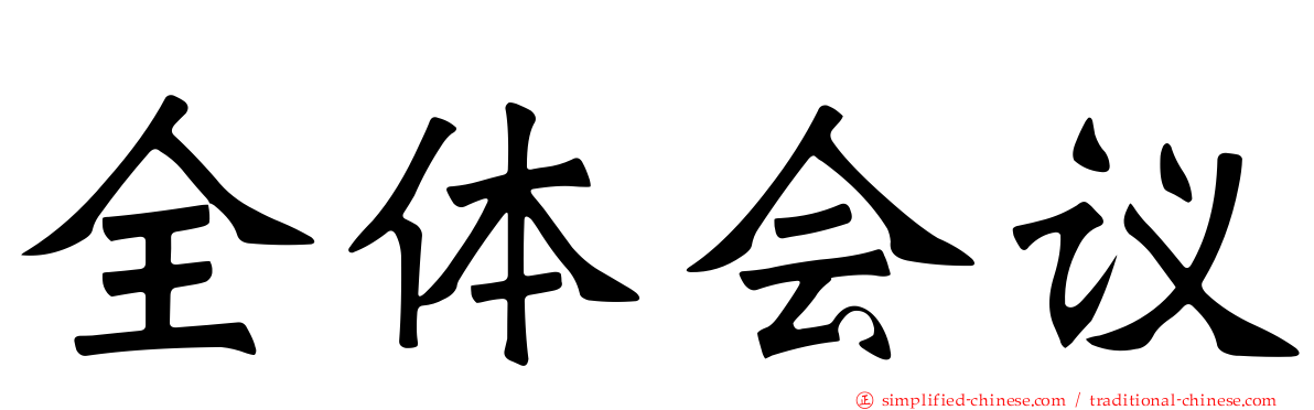 全体会议