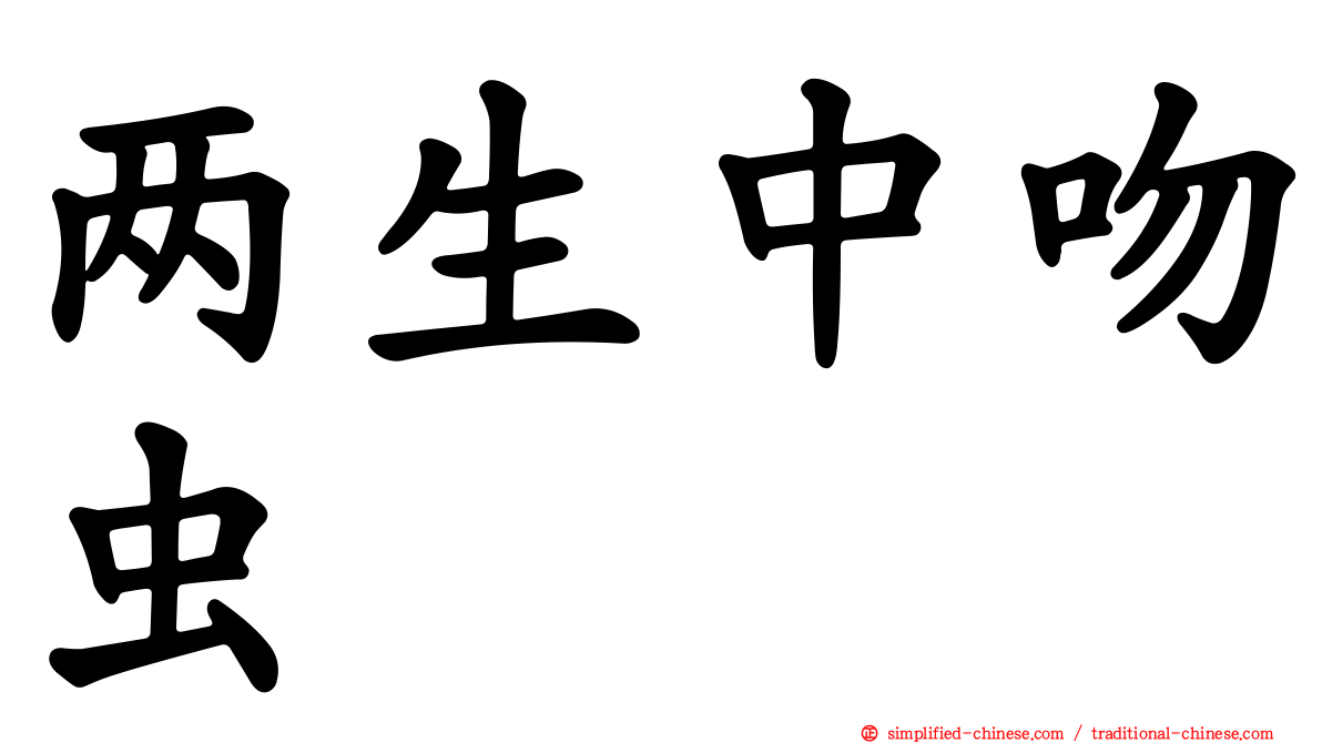 两生中吻虫