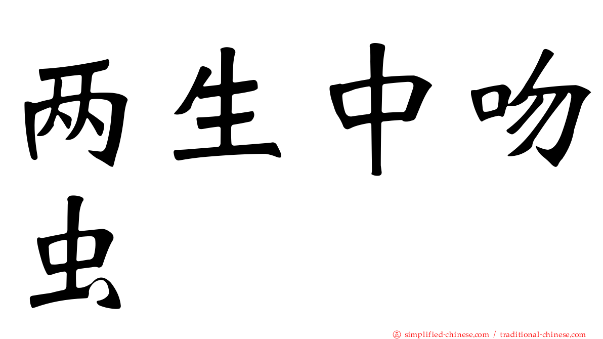 两生中吻虫