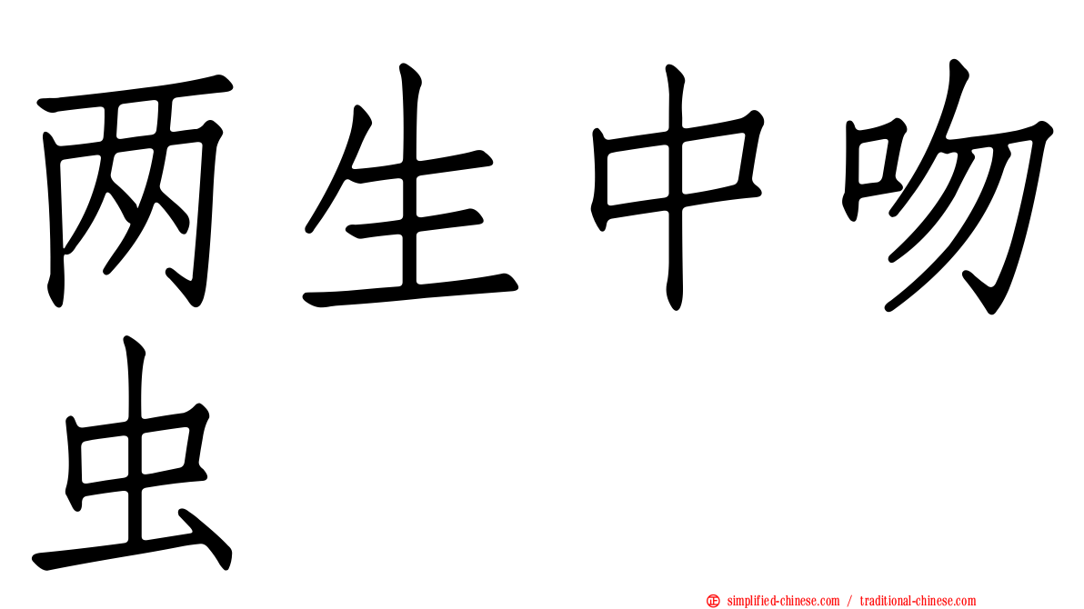 两生中吻虫