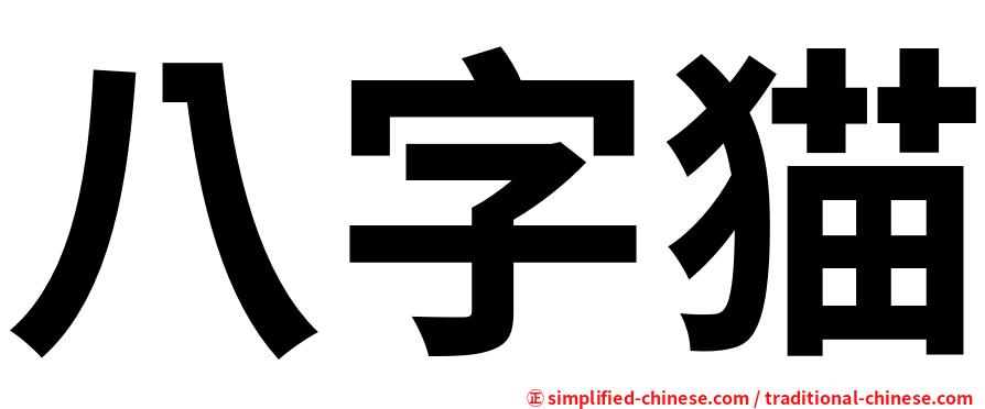 八字猫
