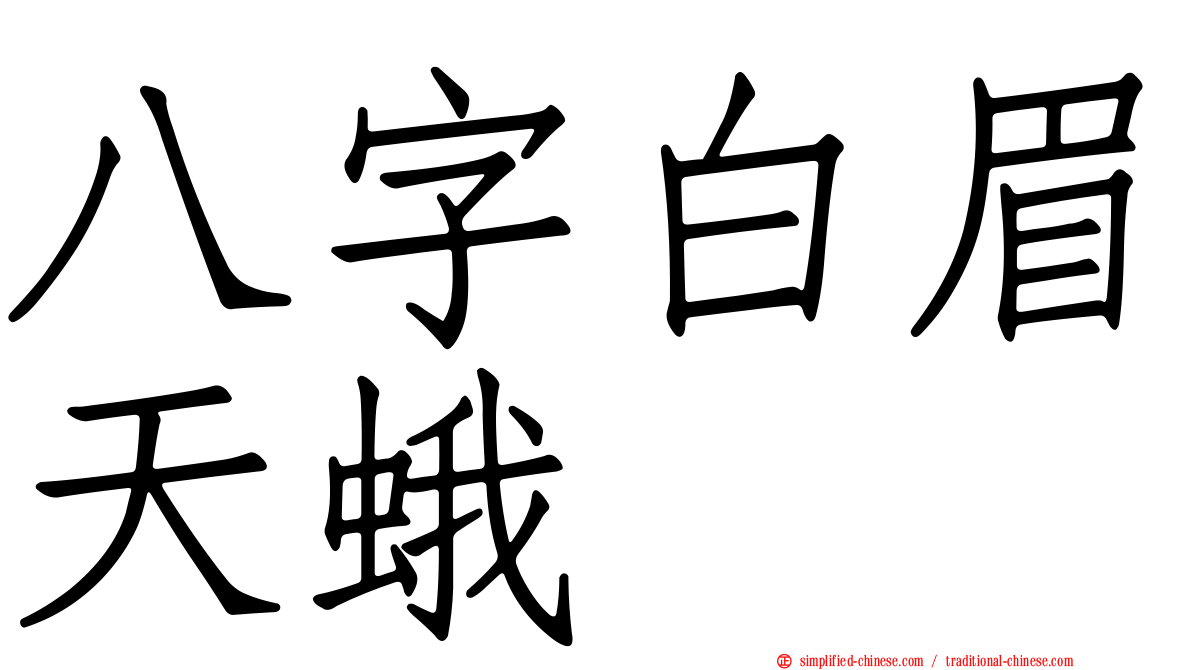 八字白眉天蛾