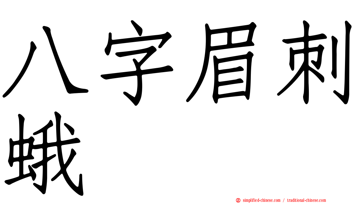 八字眉刺蛾