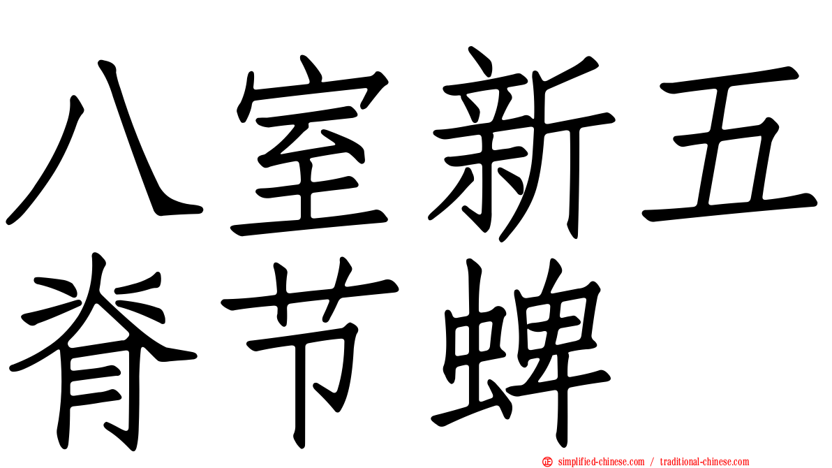 八室新五脊节蜱