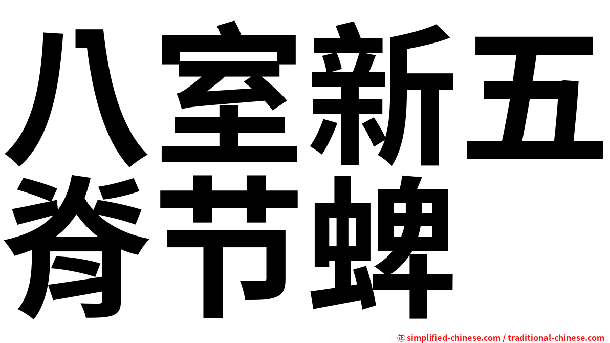 八室新五脊节蜱