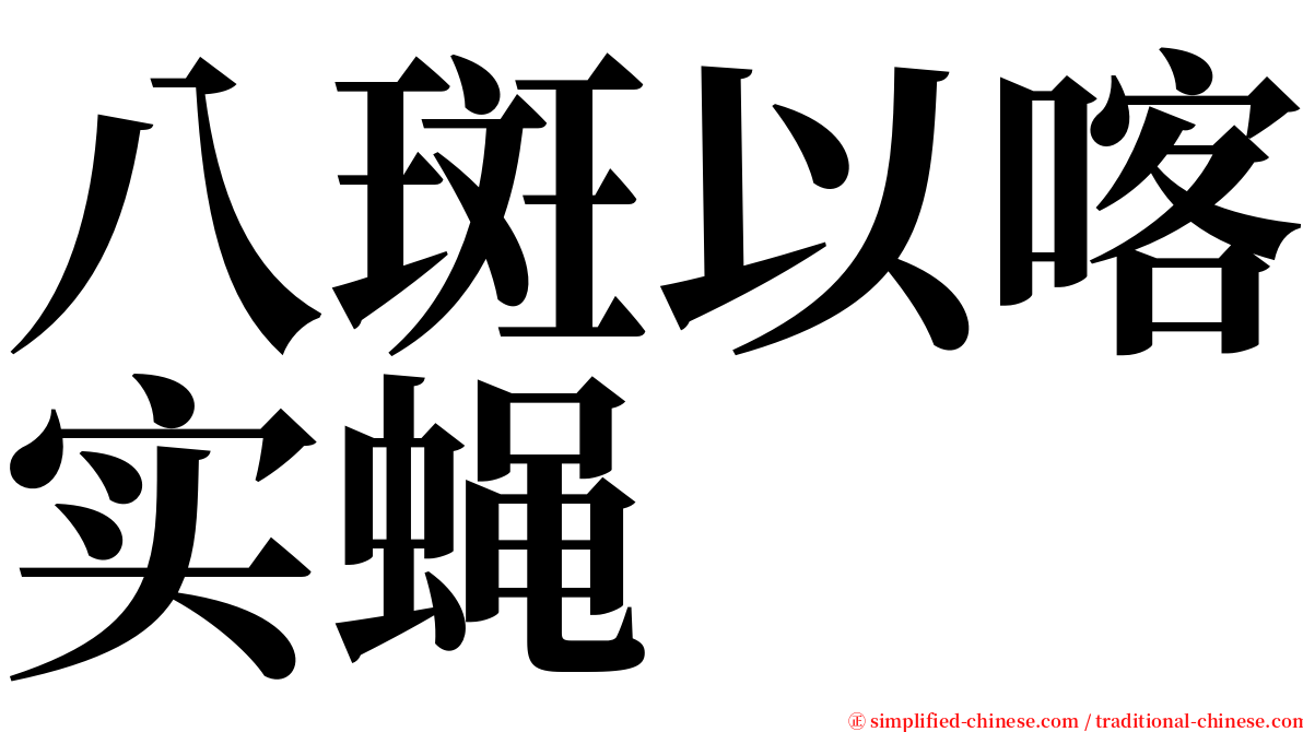 八斑以喀实蝇 serif font