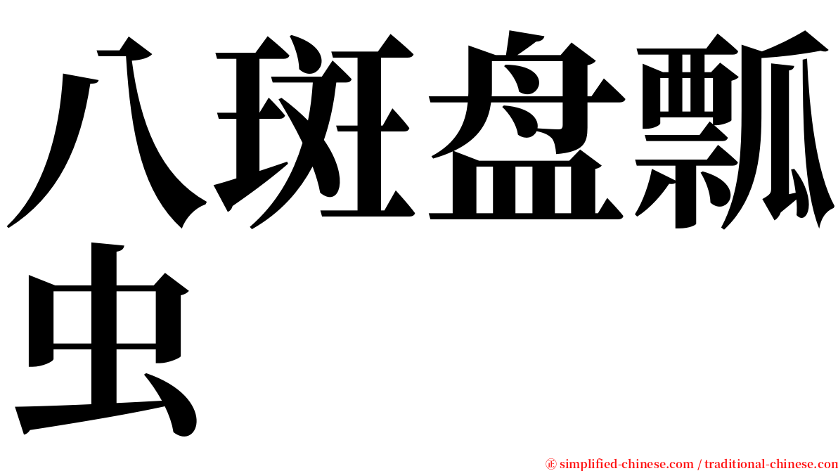 八斑盘瓢虫 serif font