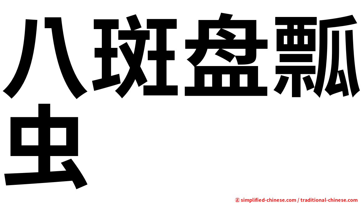 八斑盘瓢虫