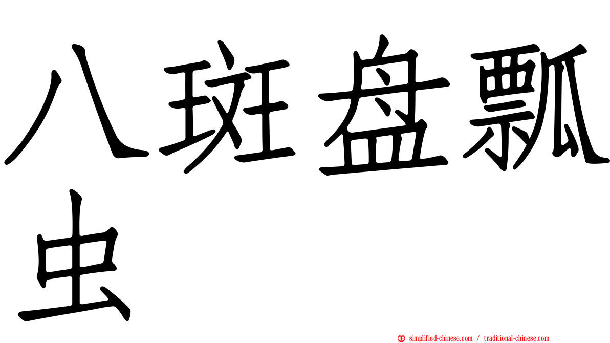 八斑盘瓢虫