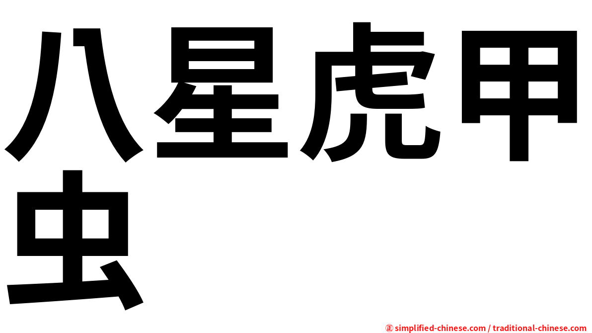 八星虎甲虫