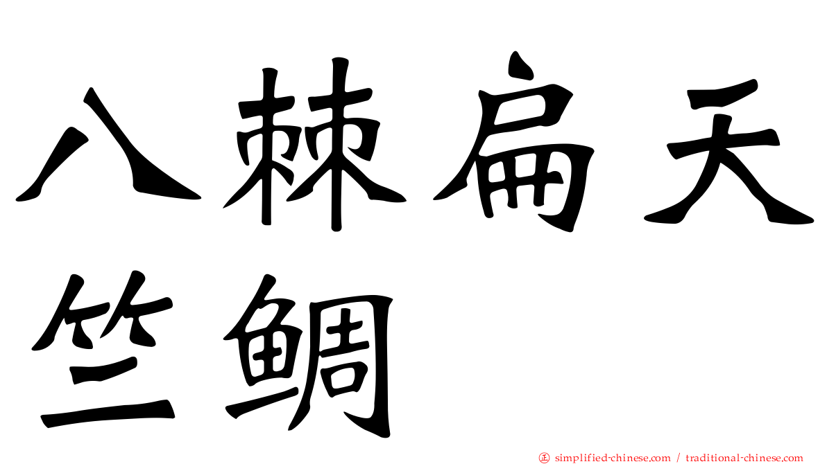 八棘扁天竺鲷