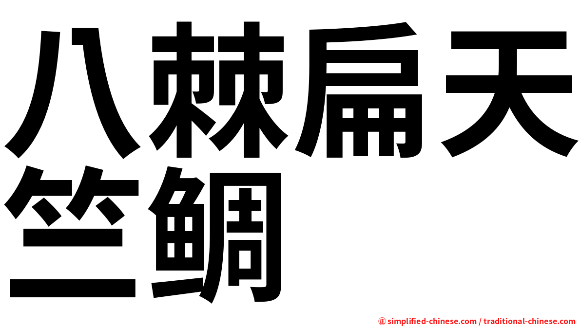 八棘扁天竺鲷