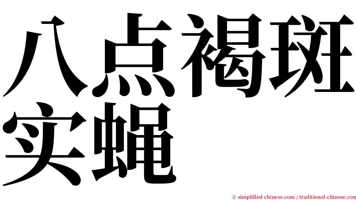八点褐斑实蝇 serif font