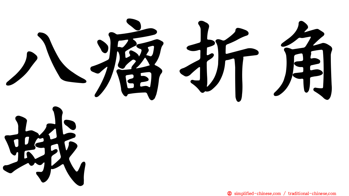八瘤折角蛾