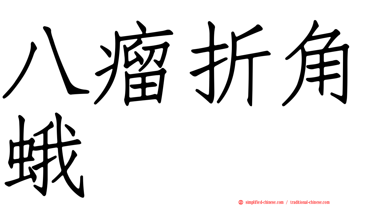 八瘤折角蛾