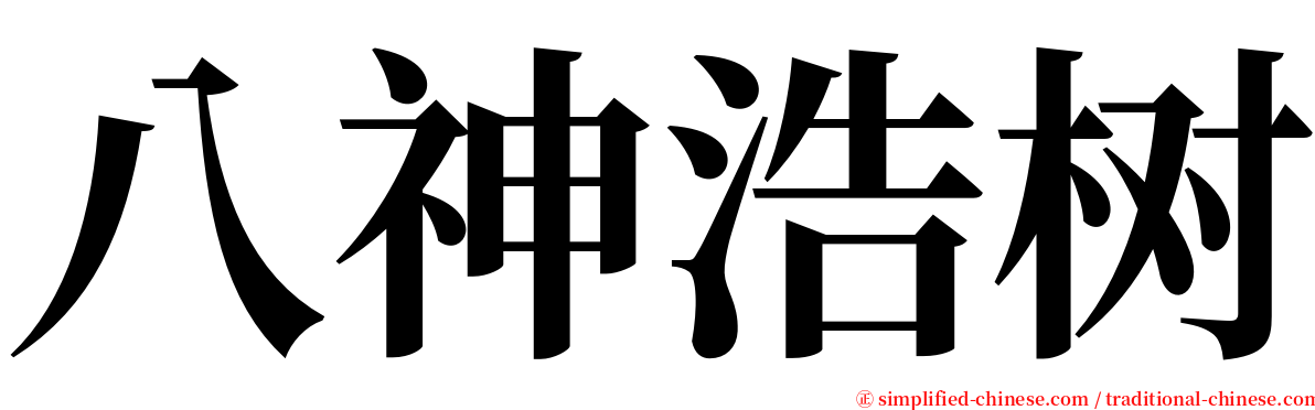八神浩树 serif font