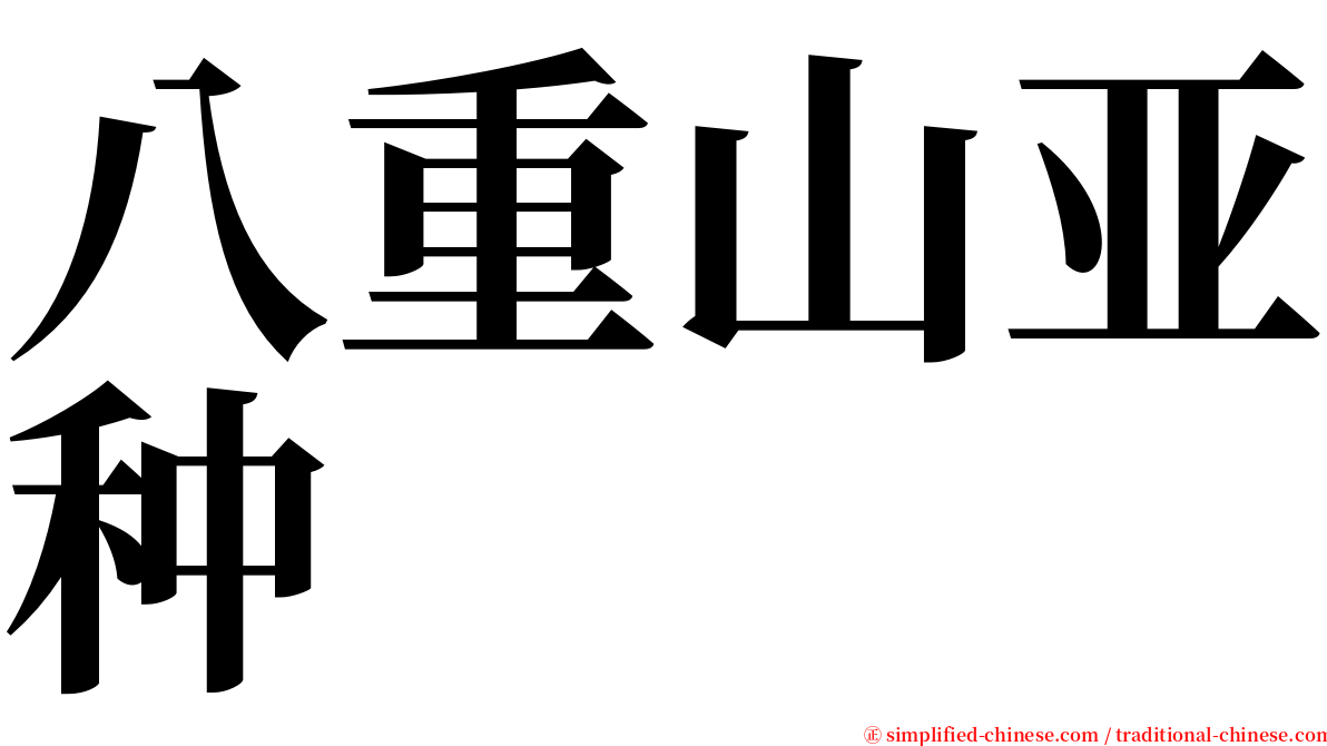 八重山亚种 serif font