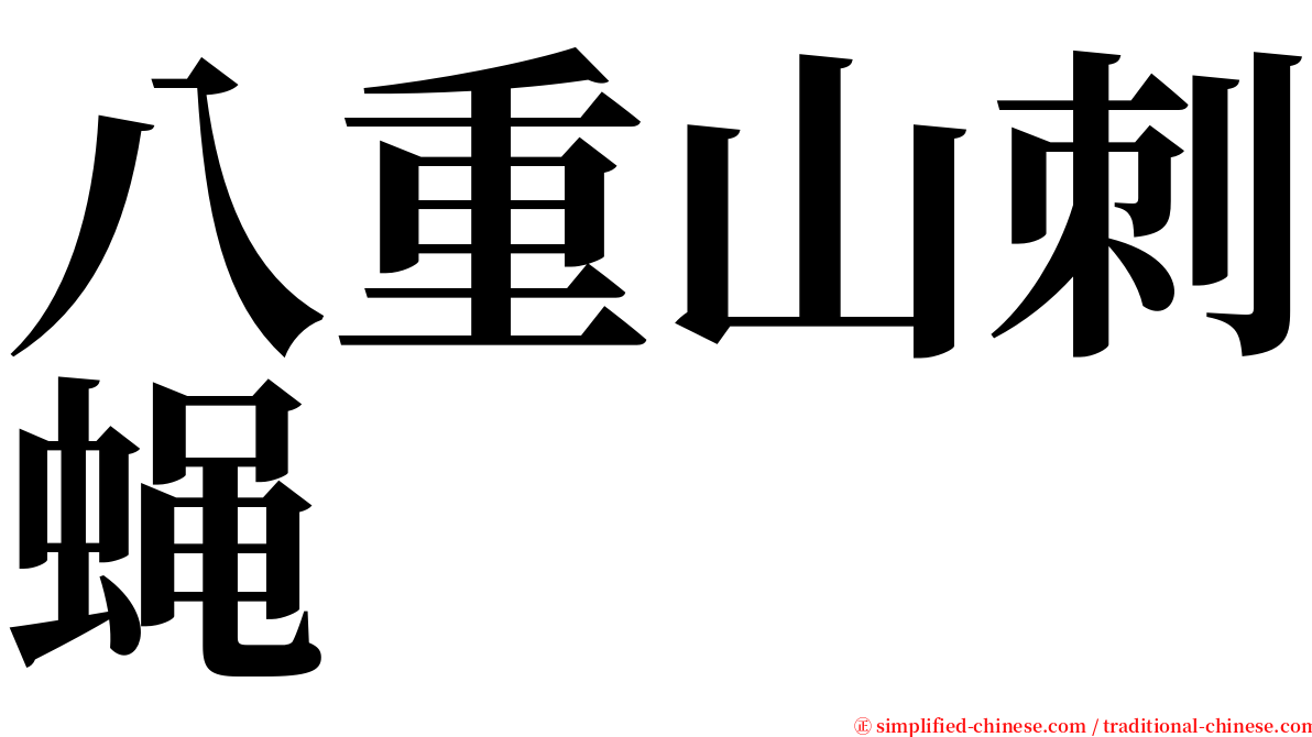 八重山刺蝇 serif font