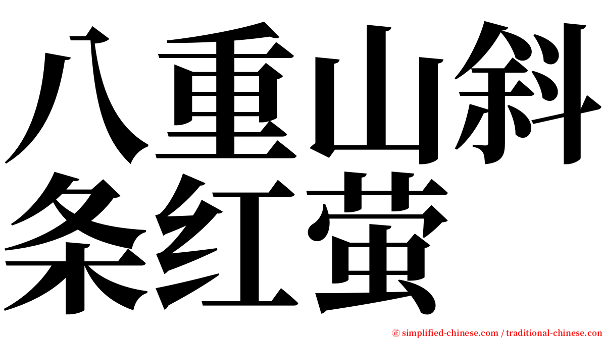 八重山斜条红萤 serif font