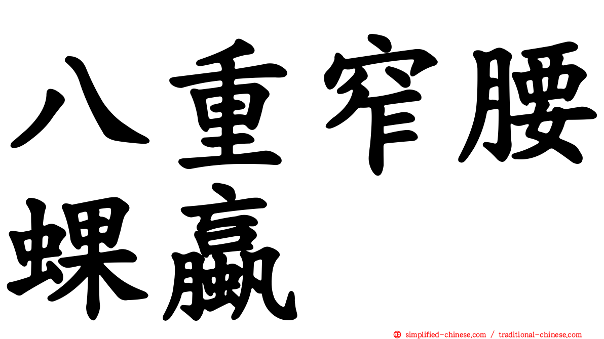 八重窄腰蜾蠃