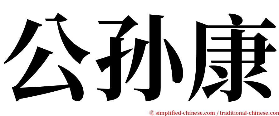 公孙康 serif font