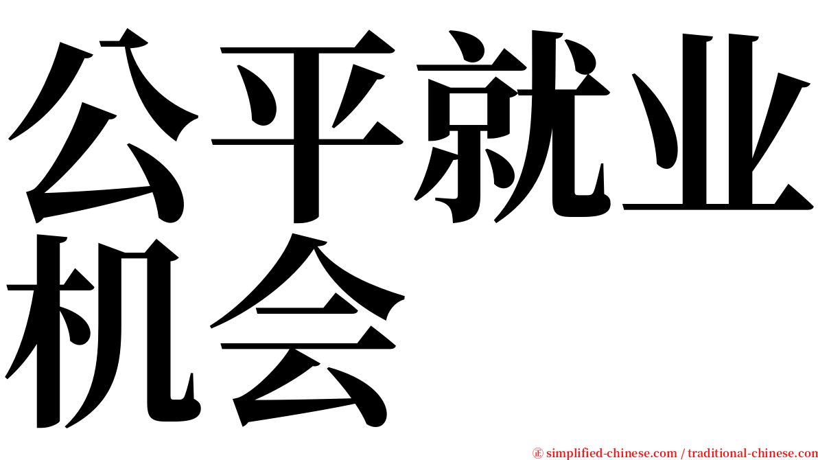 公平就业机会 serif font