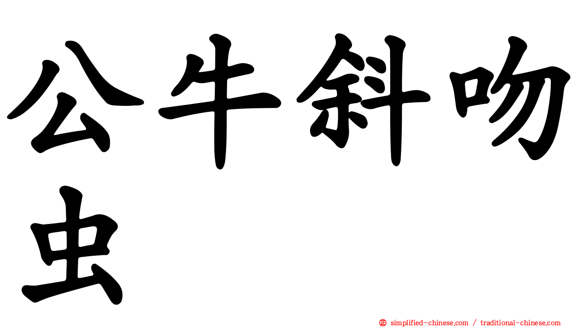 公牛斜吻虫