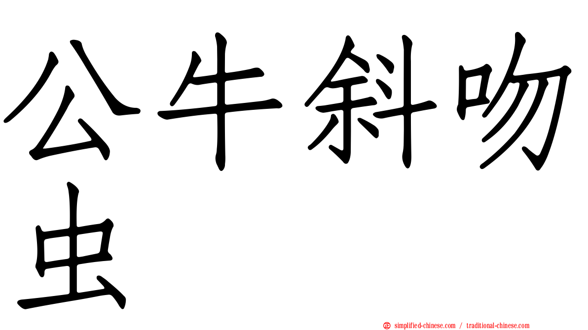 公牛斜吻虫