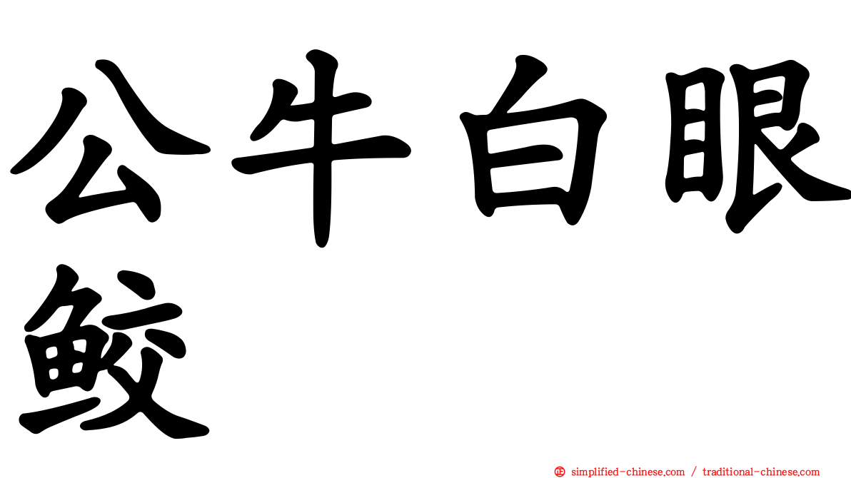 公牛白眼鲛
