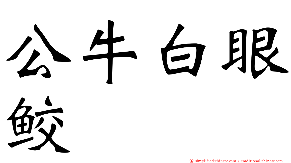 公牛白眼鲛