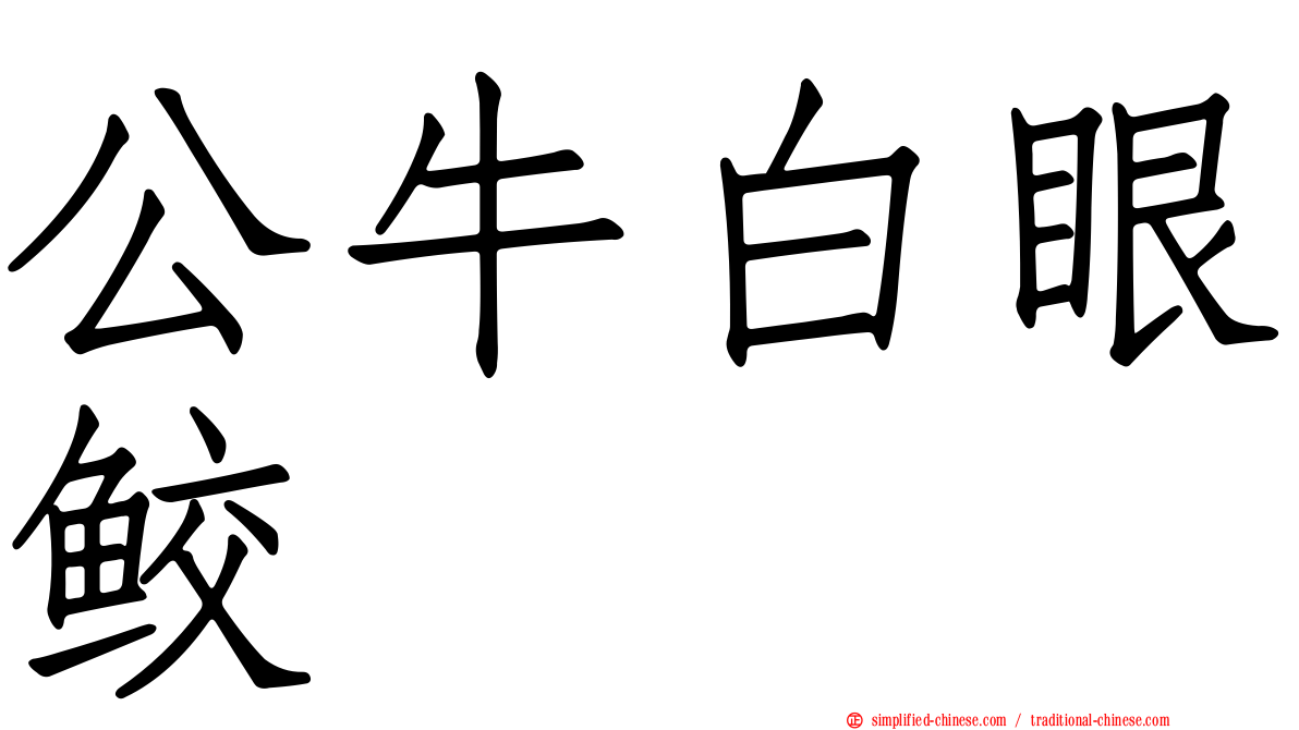 公牛白眼鲛