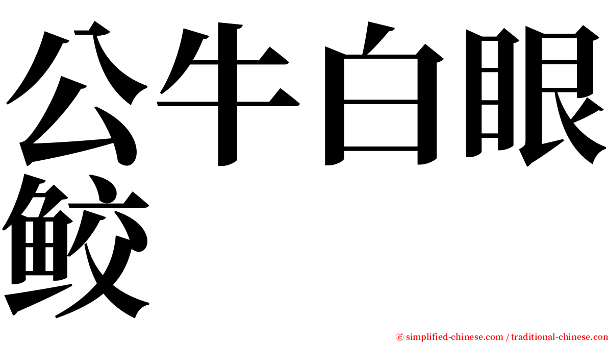 公牛白眼鲛 serif font