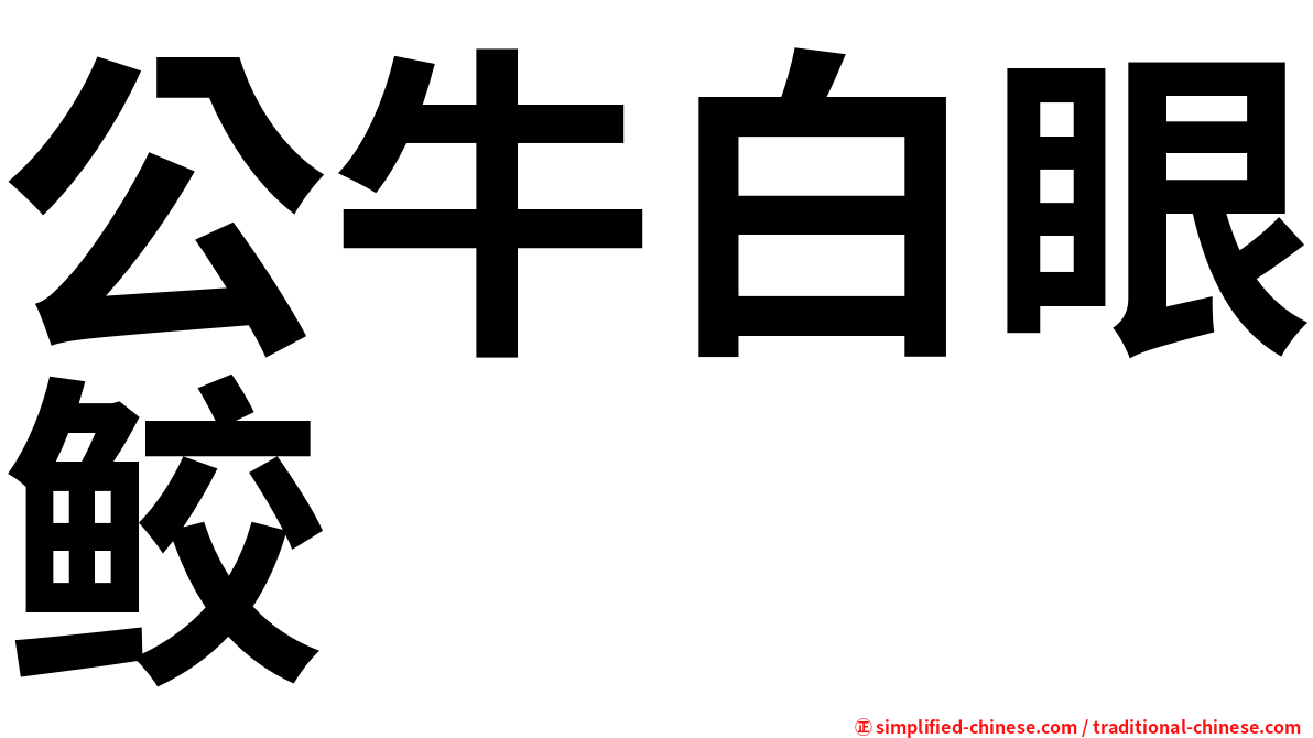公牛白眼鲛