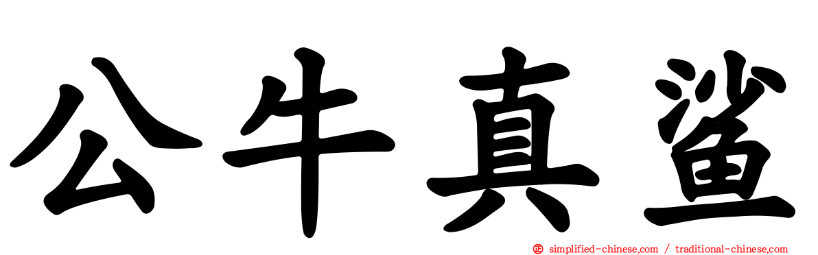 公牛真鲨