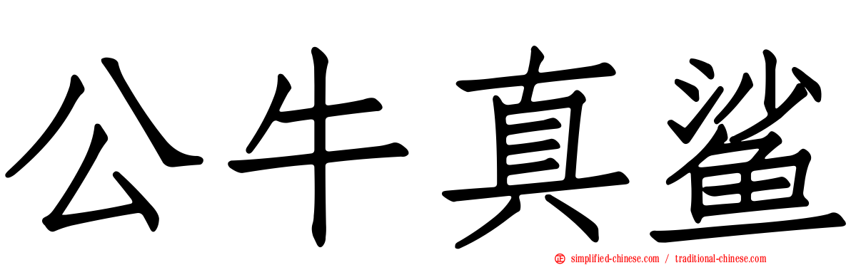 公牛真鲨