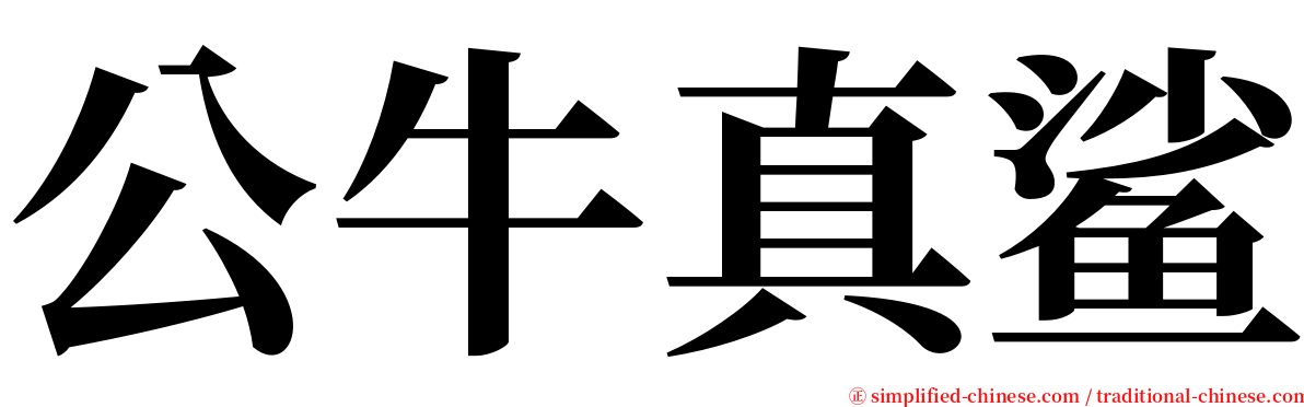 公牛真鲨 serif font