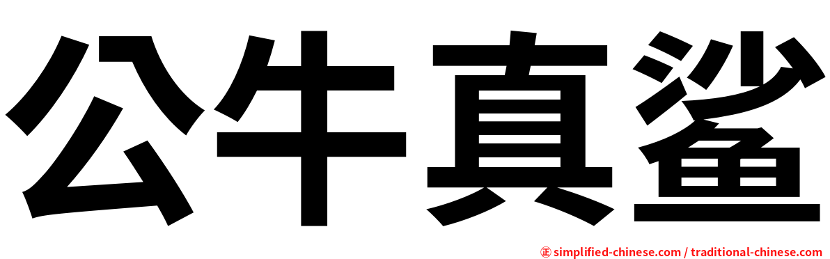 公牛真鲨