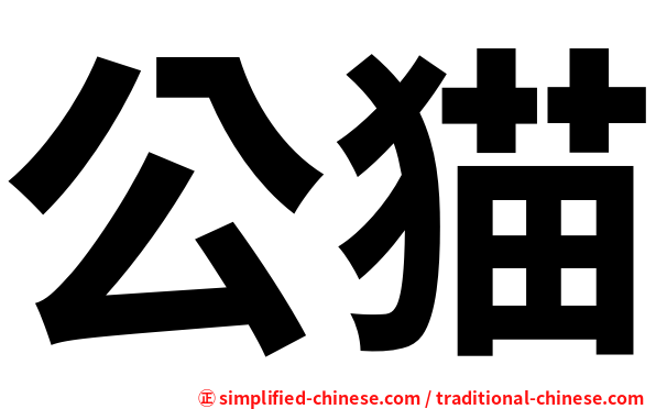 公猫