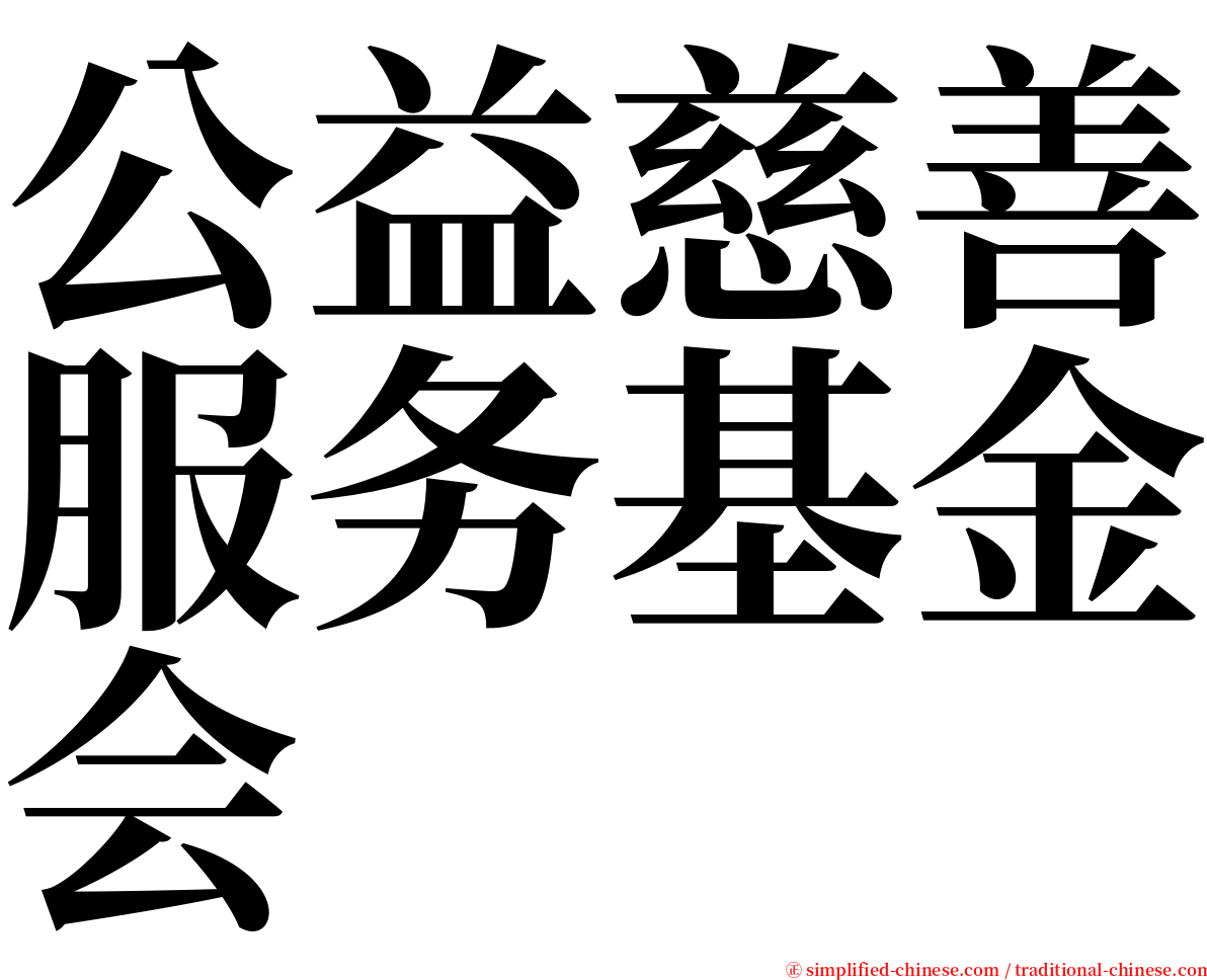 公益慈善服务基金会 serif font