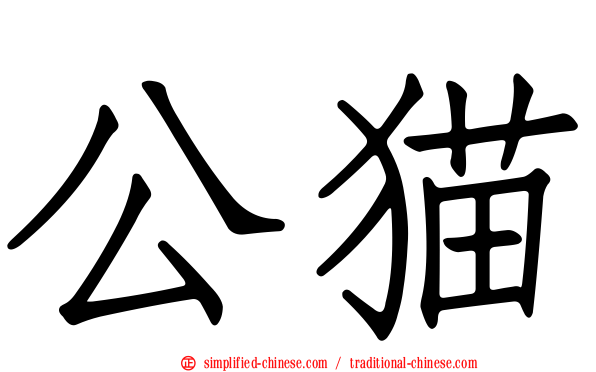 公猫