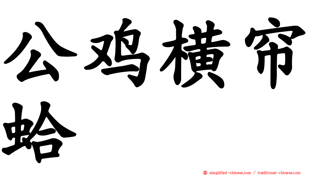 公鸡横帘蛤