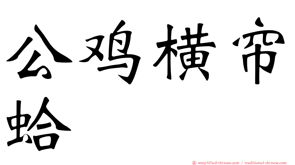 公鸡横帘蛤