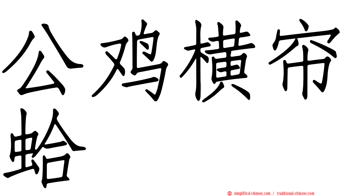 公鸡横帘蛤