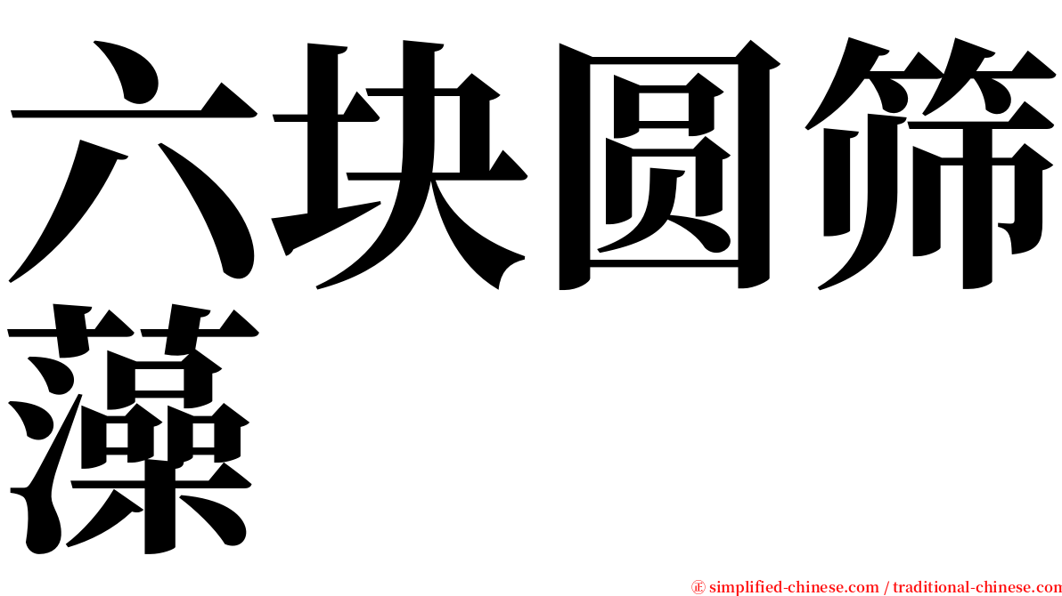 六块圆筛藻 serif font