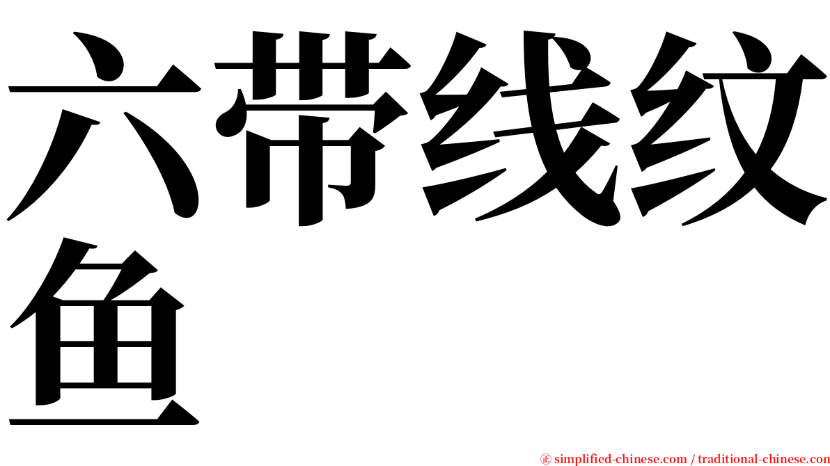 六带线纹鱼 serif font