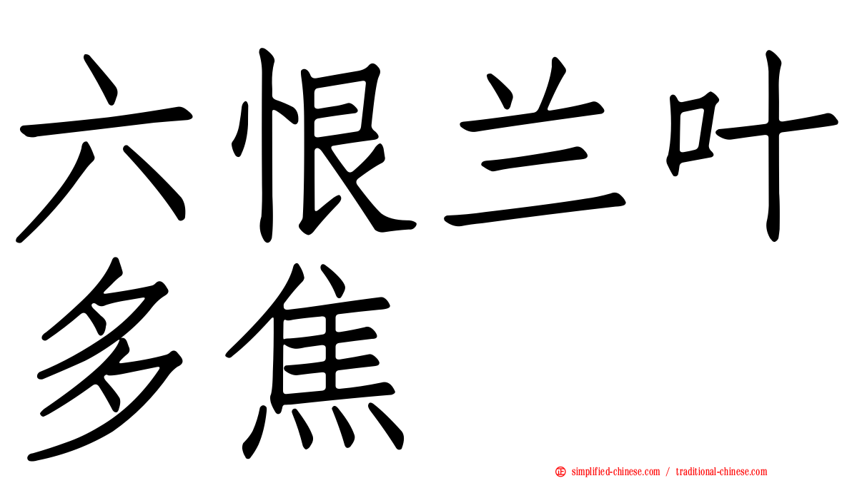 六恨兰叶多焦