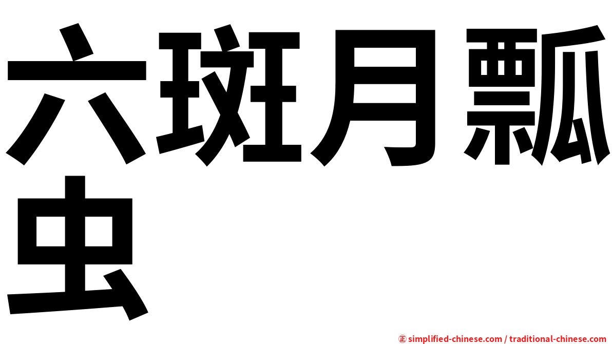 六斑月瓢虫